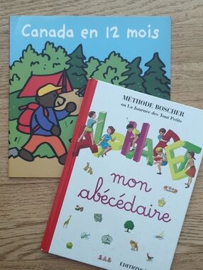 Lot of 2 French language kids books